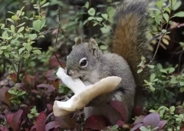 圖片關(guān)鍵詞 圖片關(guān)鍵詞