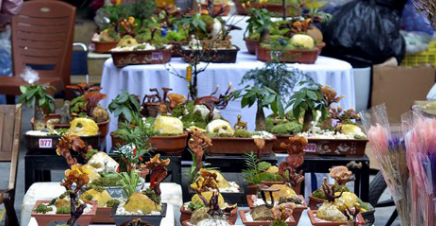 圖片關(guān)鍵詞 圖片關(guān)鍵詞