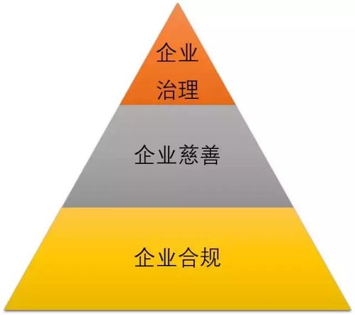 社會(huì)問題驅(qū)動(dòng)商業(yè)創(chuàng)新 MSC咨詢創(chuàng)始人兼CEO譚亞幸的社會(huì)經(jīng)濟(jì)咨詢服務(wù)探索