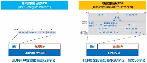 計算機網絡學習筆記 從基礎到開發實踐